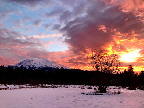 Mount Shasta Sunrise card