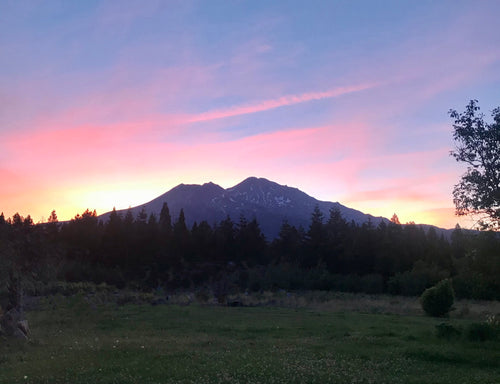 Pink Mount Shasta Sunrise